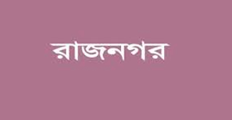 রাজনগরে পিকআপ ভ্যানের চা পা য় এক ব্যক্তির মৃ ত্যু